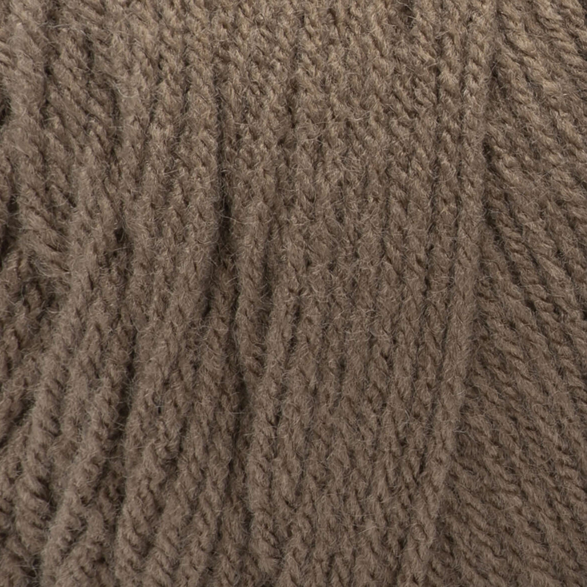 Cafe Latte Red Heart Super Saver Swatch