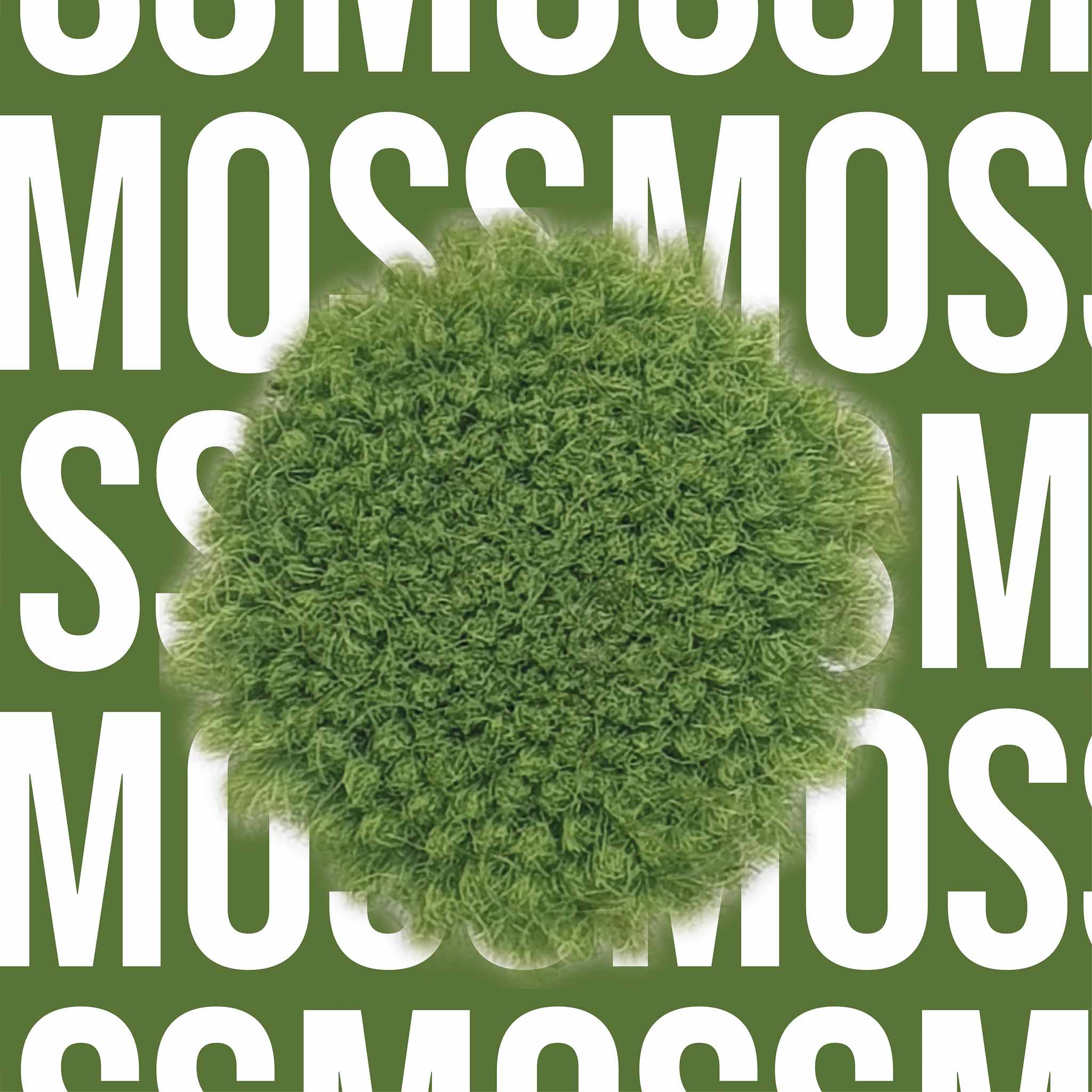 Tuftbox Rug Wool PomPom Swatch Moss