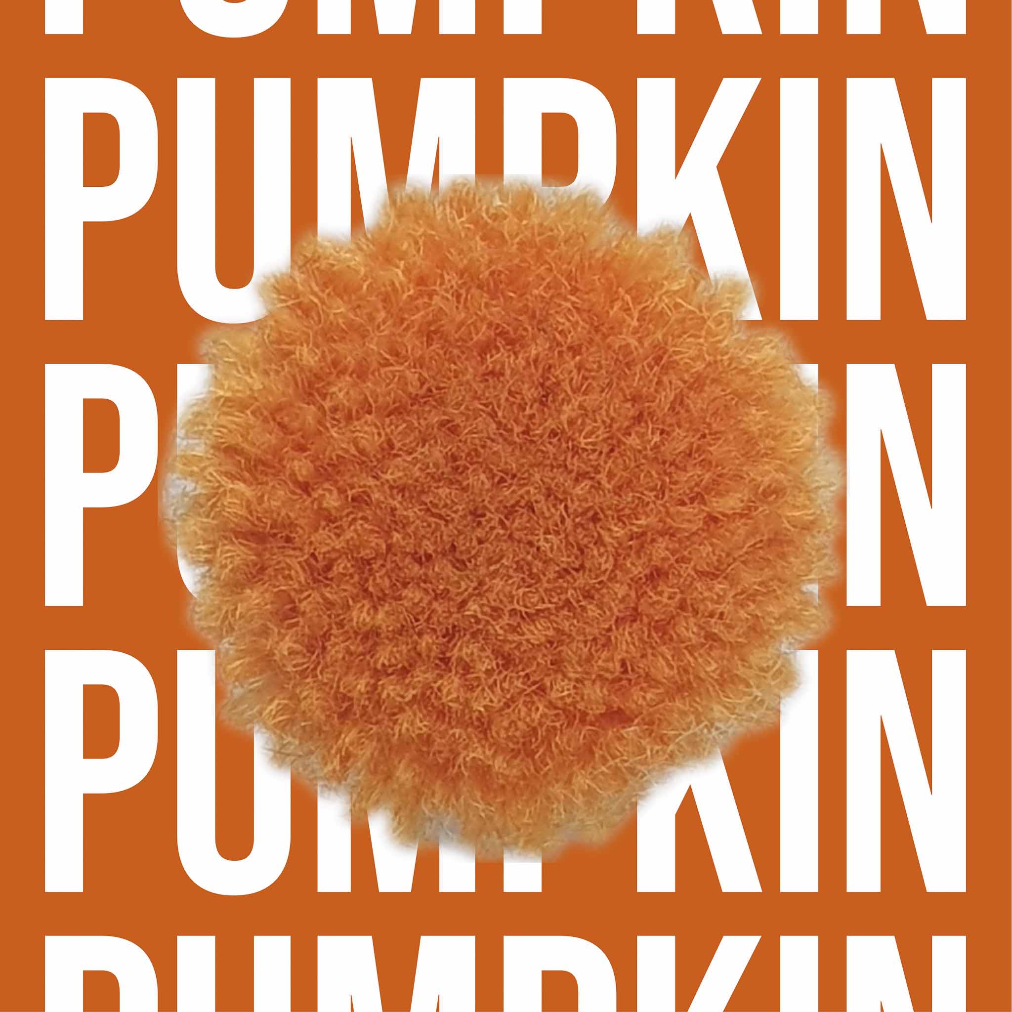 Tuftbox Rug Wool PomPom Swatch Pumpkin