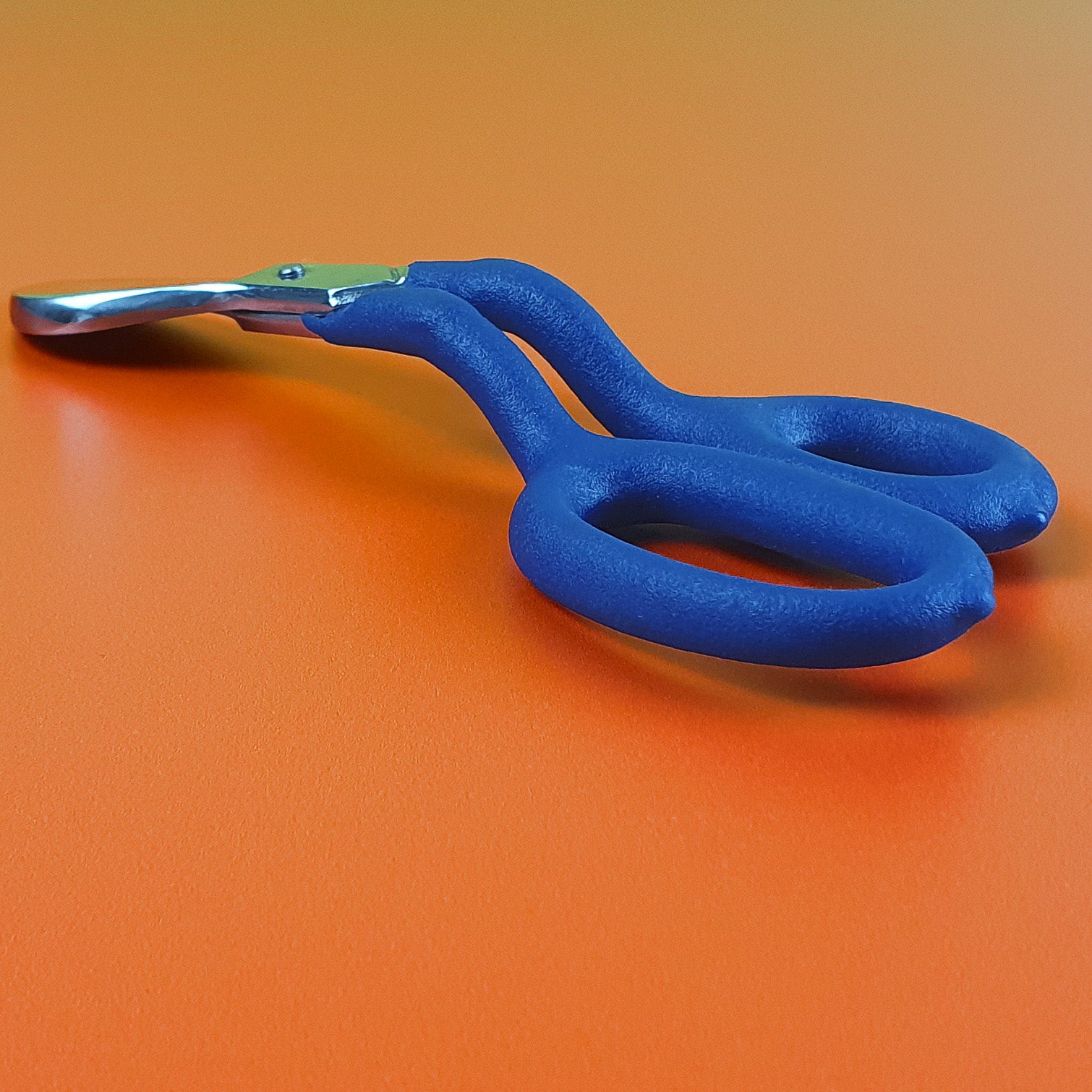 Duckbill Scissor Blue Close Up