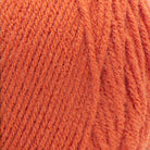 Carrot Red Heart Super Saver Swatch