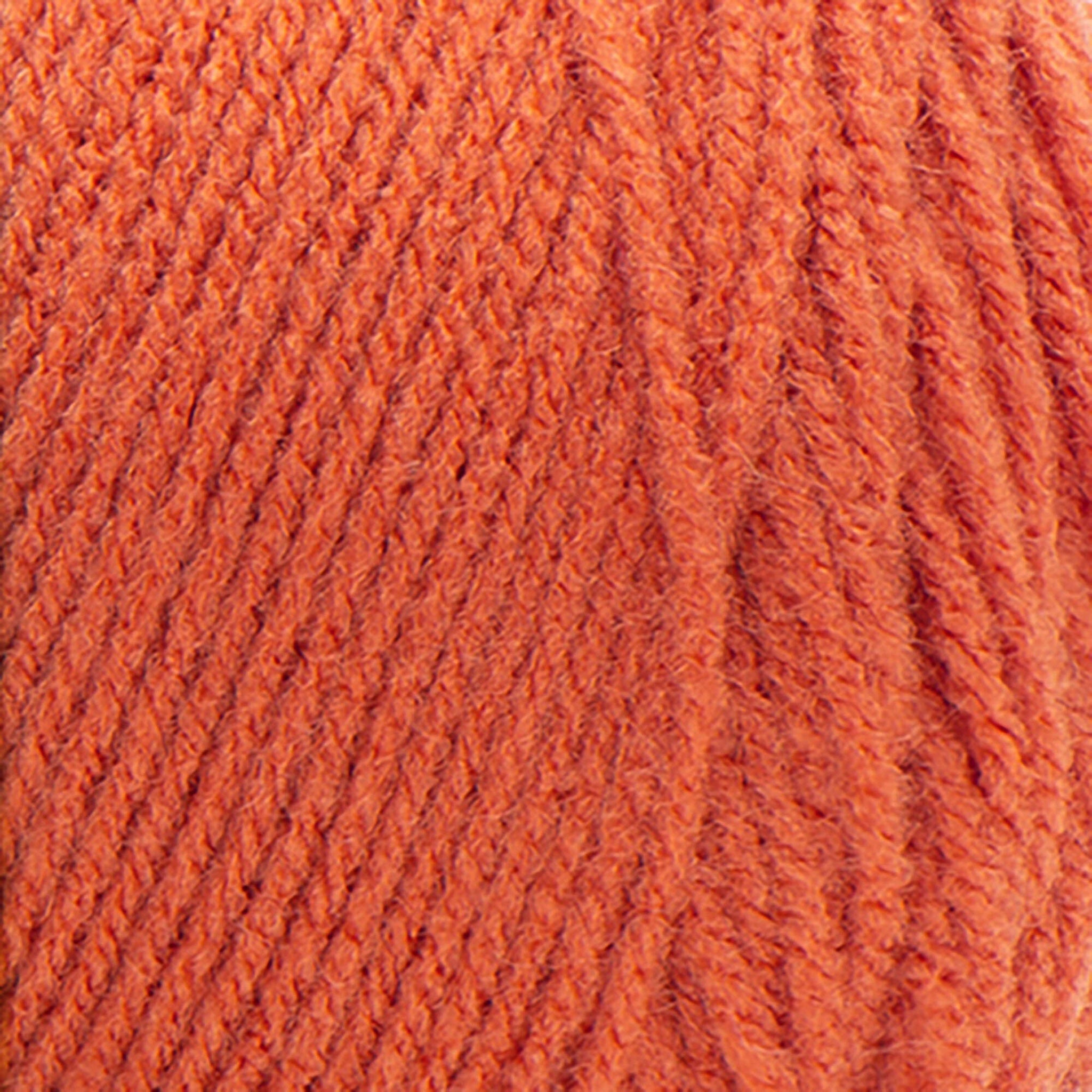 Carrot Red Heart Super Saver Swatch